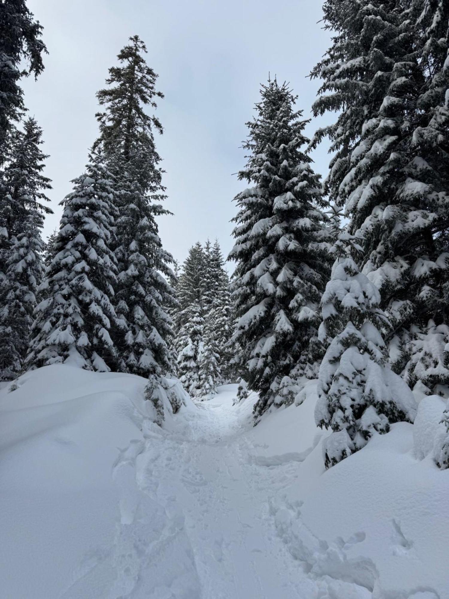 Allgaeu Bergluft Weitnau Exterior foto