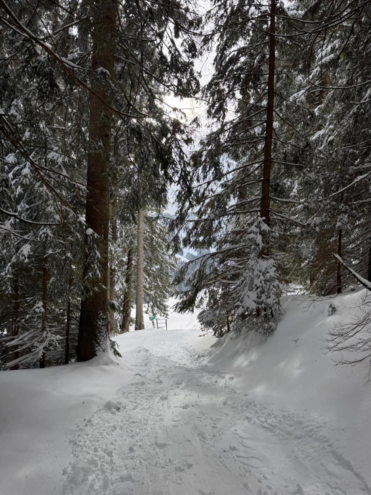 Allgaeu Bergluft Weitnau Exterior foto